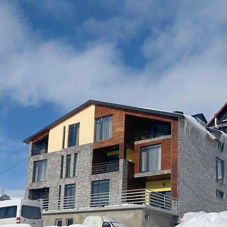 Dandelion Hotel Gudauri Ganisi Екстер'єр фото