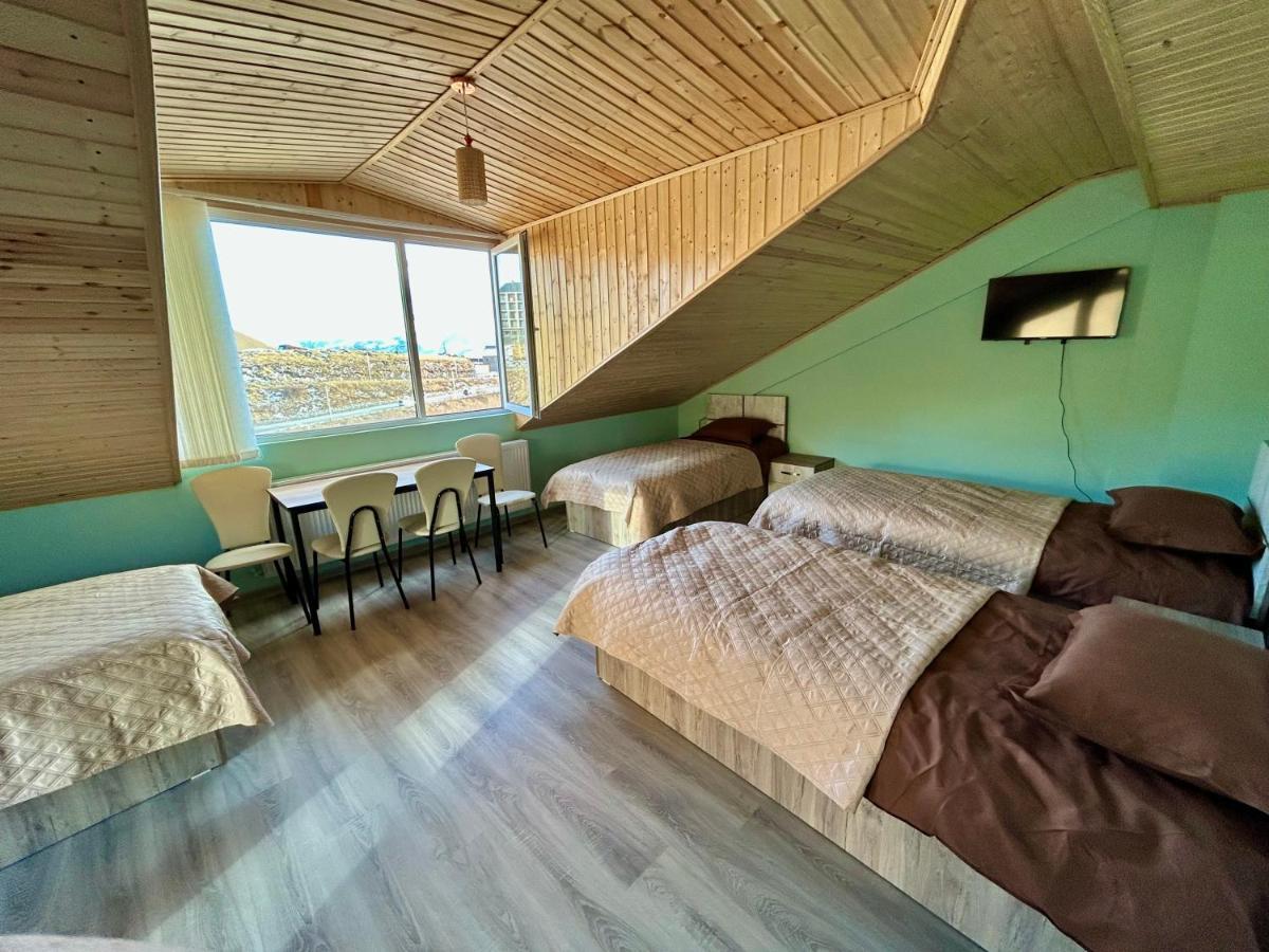Dandelion Hotel Gudauri Ganisi Екстер'єр фото